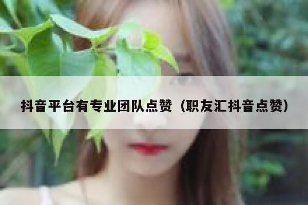 抖音平台有专业团队点赞（职友汇抖音点赞） 第1张
