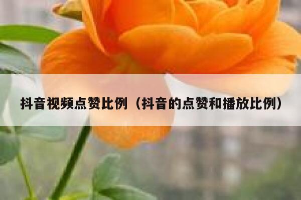 抖音视频点赞比例（抖音的点赞和播放比例） 第1张