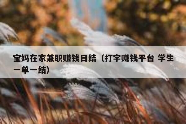 宝妈在家兼职赚钱日结（打字赚钱平台 学生一单一结） 第1张
