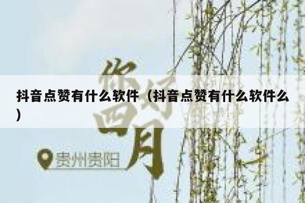 抖音点赞有什么软件（抖音点赞有什么软件么） 第1张