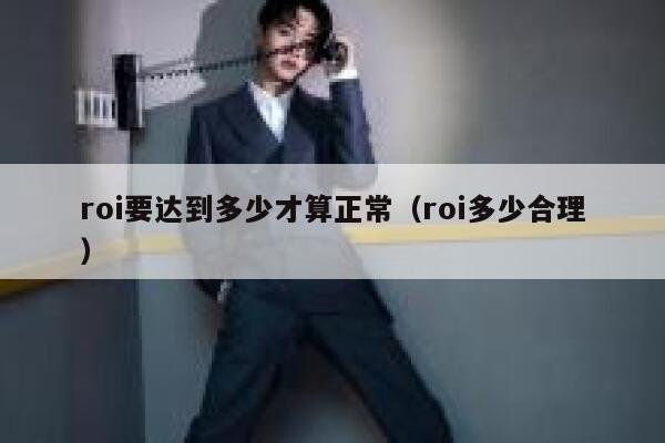 roi要达到多少才算正常（roi多少合理） 第1张