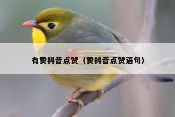 有赞抖音点赞（赞抖音点赞语句） 第1张