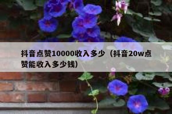 抖音点赞10000收入多少（抖音20w点赞能收入多少钱） 第1张