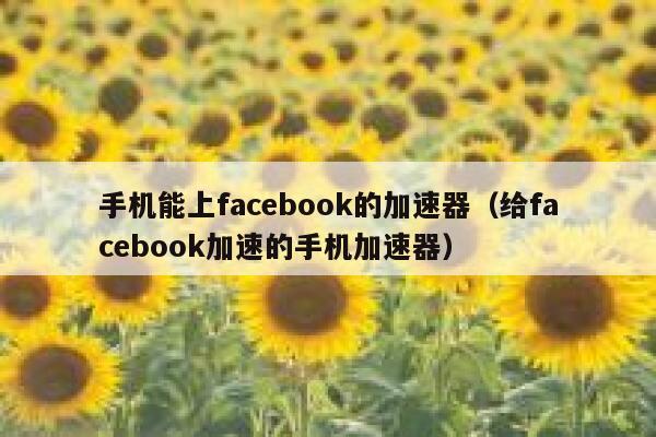手机能上facebook的加速器(给facebook加速的手机加速器) 第1张 手机能上facebook的加速器(给facebook加速的手机加速器) 第1张