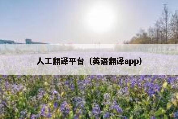人工翻译平台（英语翻译app） 第1张
