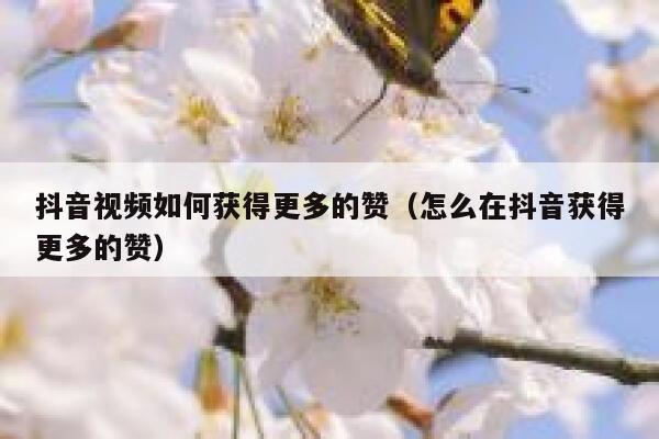 抖音视频如何获得更多的赞(怎么在抖音获得更多的赞) 第1张 抖音视频如何获得更多的赞(怎么在抖音获得更多的赞) 第1张