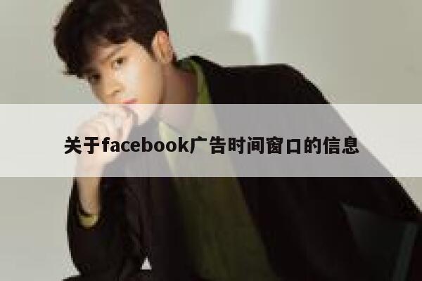 关于facebook广告时间窗口的信息 第1张
