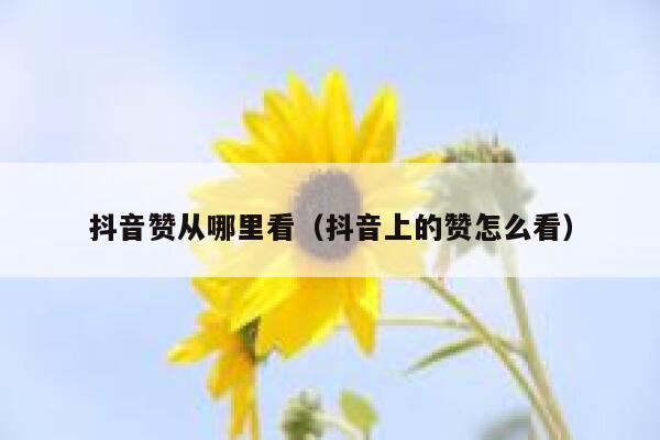 抖音赞从哪里看（抖音上的赞怎么看） 第1张