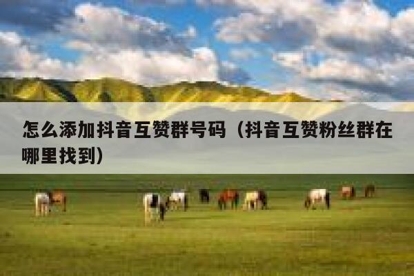 怎么添加抖音互赞群号码（抖音互赞粉丝群在哪里找到） 第1张