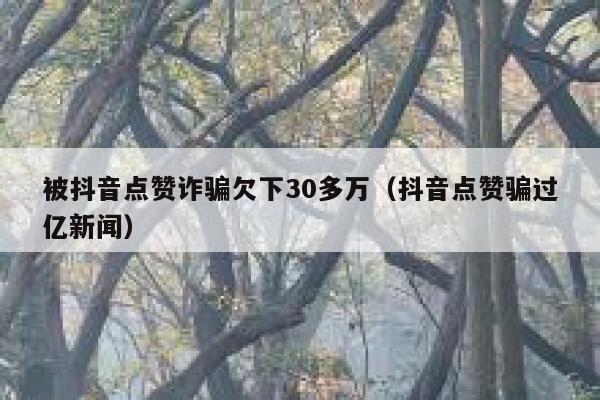 被抖音点赞诈骗欠下30多万（抖音点赞骗过亿新闻） 第1张