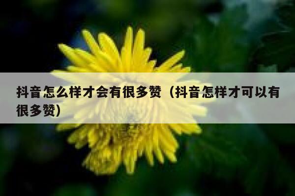 抖音怎么样才会有很多赞（抖音怎样才可以有很多赞） 第1张
