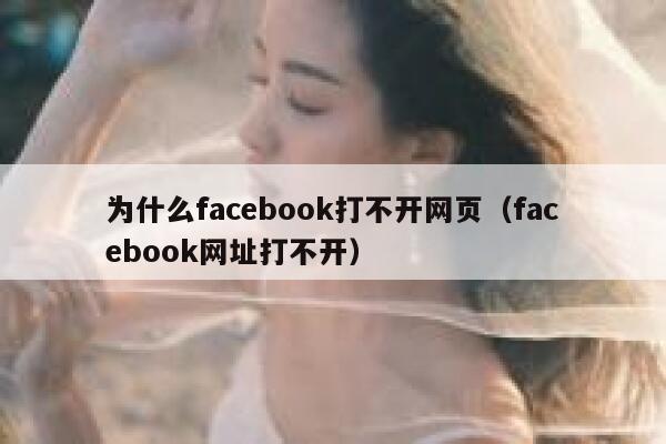 为什么facebook打不开网页（facebook网址打不开） 第1张