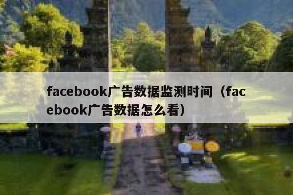 facebook广告数据监测时间（facebook广告数据怎么看） 第1张