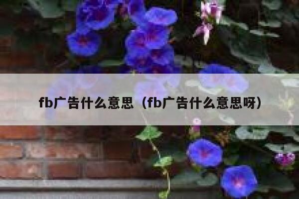 fb广告什么意思（fb广告什么意思呀） 第1张