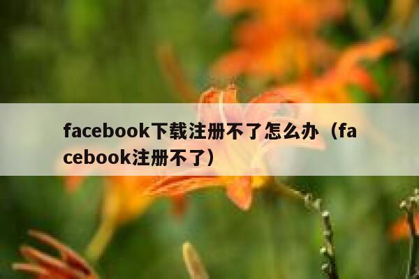 facebook下载注册不了怎么办（facebook注册不了） 第1张