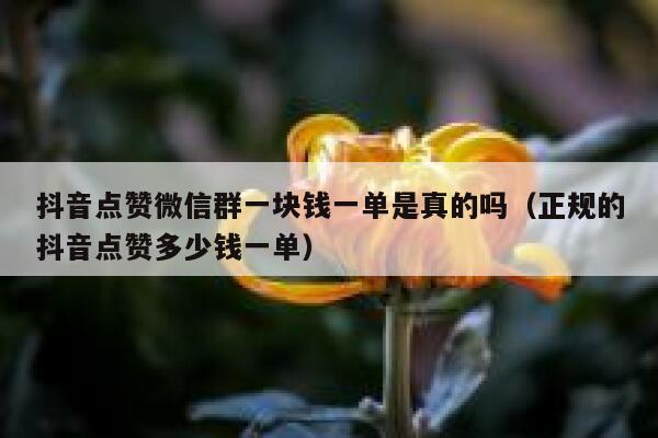抖音点赞微信群一块钱一单是真的吗（正规的抖音点赞多少钱一单） 第1张