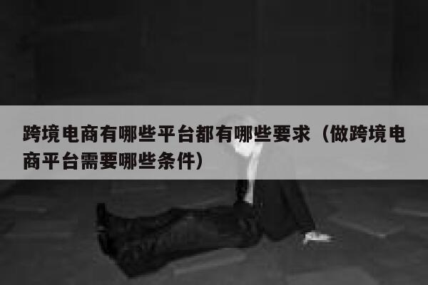 跨境电商有哪些平台都有哪些要求（做跨境电商平台需要哪些条件） 第1张