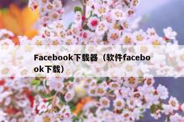 Facebook下载器（软件facebook下载） 第1张