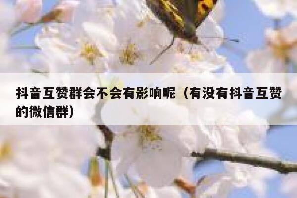 抖音互赞群会不会有影响呢（有没有抖音互赞的微信群） 第1张
