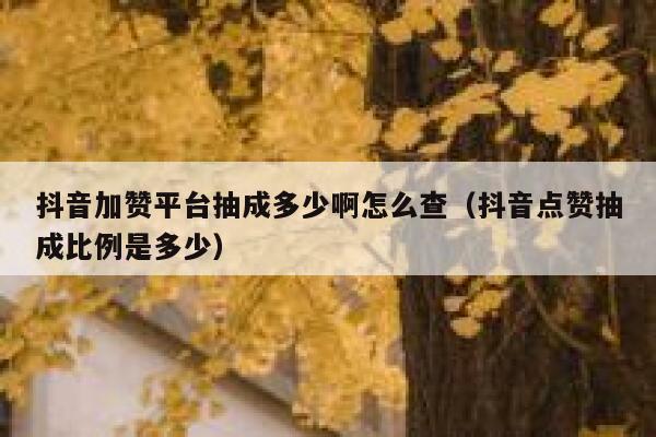 抖音加赞平台抽成多少啊怎么查（抖音点赞抽成比例是多少） 第1张