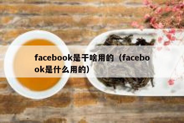 facebook是干啥用的(facebook是什么用的) 第1张 facebook是干啥用的(facebook是什么用的) 第1张