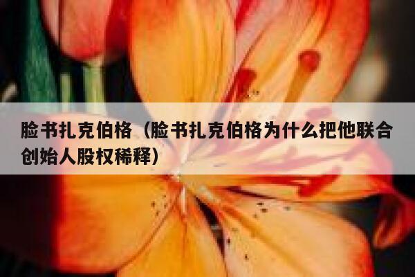 脸书扎克伯格(脸书扎克伯格为什么把他联合创始人股权稀释) 第1张 脸书扎克伯格(脸书扎克伯格为什么把他联合创始人股权稀释) 第1张