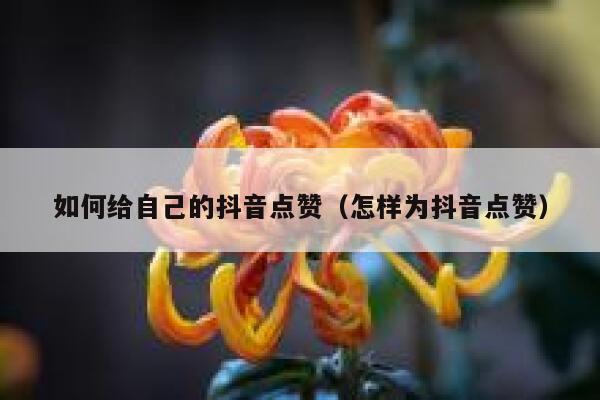 如何给自己的抖音点赞（怎样为抖音点赞） 第1张