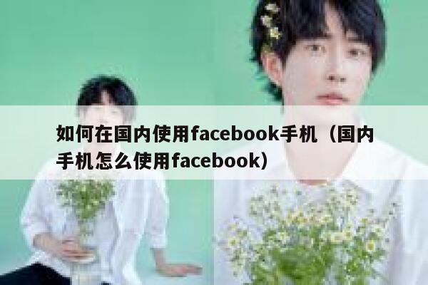 如何在国内使用facebook手机（国内手机怎么使用facebook） 第1张