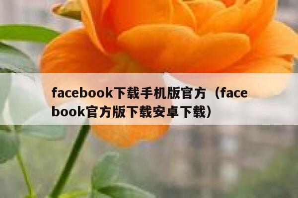 facebook下载手机版官方(facebook官方版下载安卓下载) 第1张 facebook下载手机版官方(facebook官方版下载安卓下载) 第1张