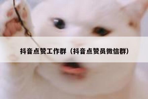 抖音点赞工作群（抖音点赞员微信群） 第1张