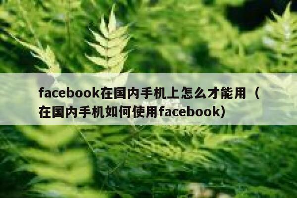 facebook在国内手机上怎么才能用(在国内手机如何使用facebook) 第1张 facebook在国内手机上怎么才能用(在国内手机如何使用facebook) 第1张