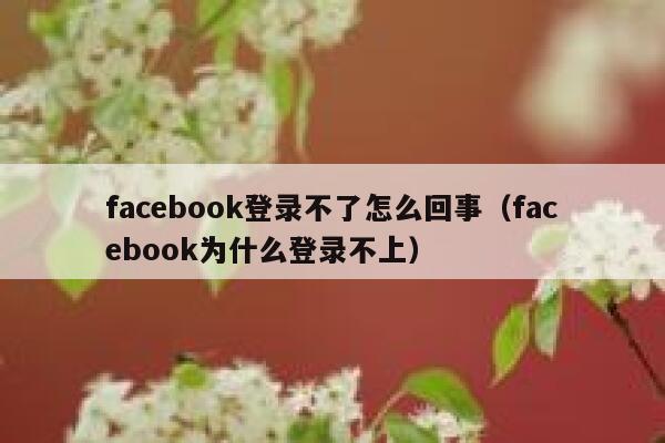 facebook登录不了怎么回事（facebook为什么登录不上） 第1张