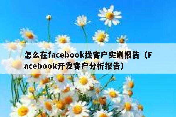 怎么在facebook找客户实训报告（Facebook开发客户分析报告） 第1张