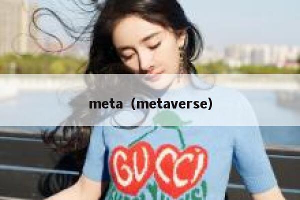 meta（metaverse） 第1张