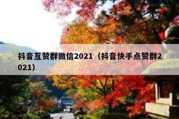 抖音互赞群微信2021（抖音快手点赞群2021） 第1张