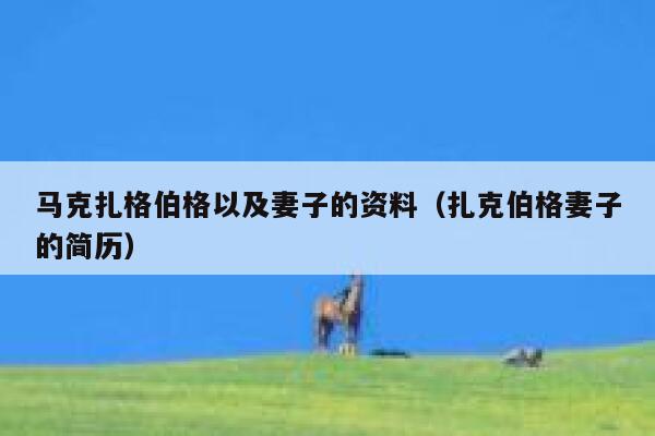 马克扎格伯格以及妻子的资料（扎克伯格妻子的简历） 第1张