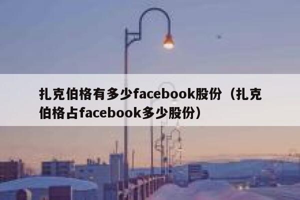 扎克伯格有多少facebook股份（扎克伯格占facebook多少股份） 第1张