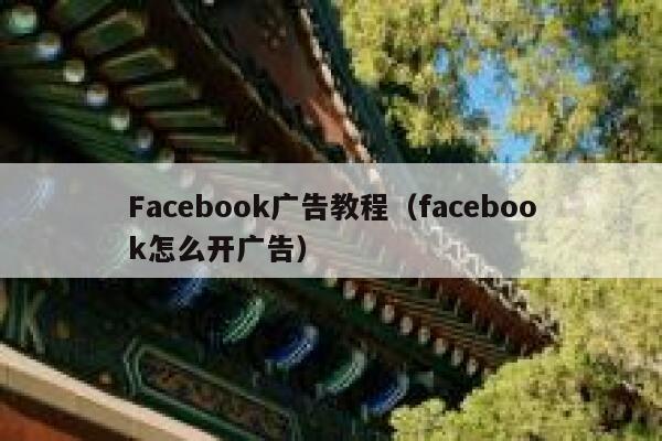 Facebook广告教程（facebook怎么开广告） 第1张