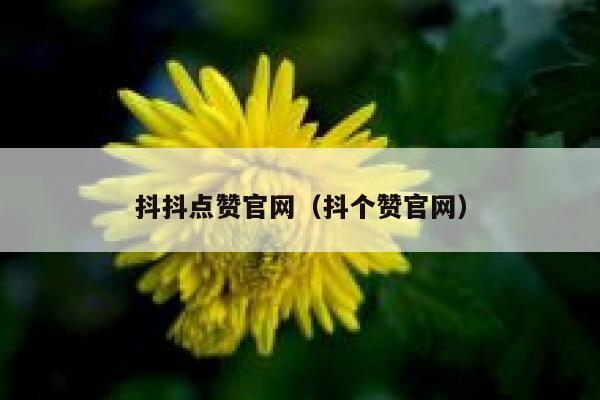 抖抖点赞官网（抖个赞官网） 第1张