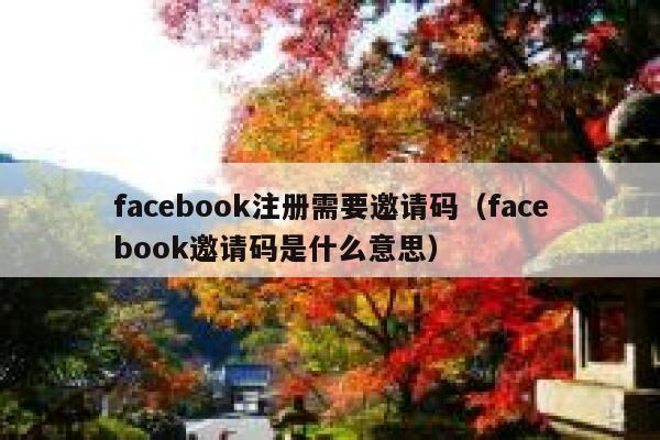 facebook注册需要邀请码（facebook邀请码是什么意思） 第1张