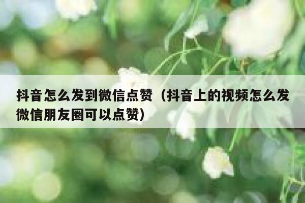 抖音怎么发到微信点赞（抖音上的视频怎么发微信朋友圈可以点赞） 第1张