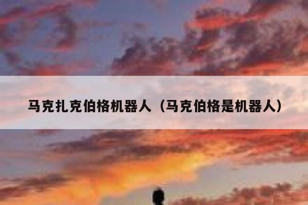 马克扎克伯格机器人（马克伯格是机器人） 第1张