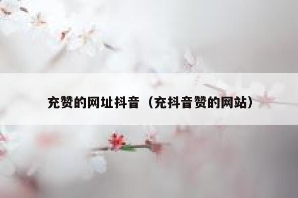 充赞的网址抖音（充抖音赞的网站） 第1张