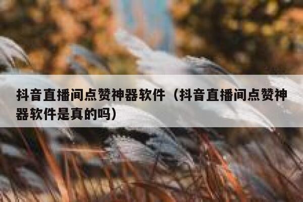 抖音直播间点赞神器软件（抖音直播间点赞神器软件是真的吗） 第1张