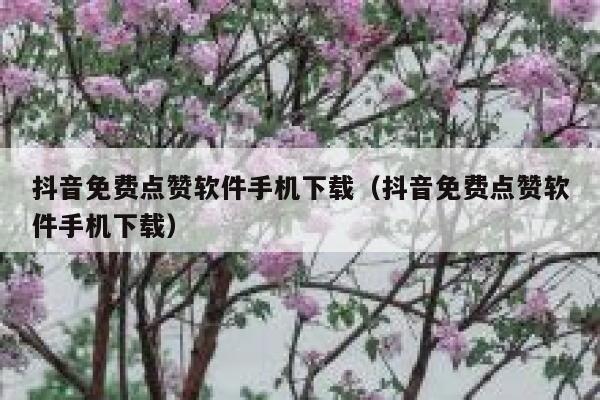 抖音免费点赞软件手机下载（抖音免费点赞软件手机下载） 第1张
