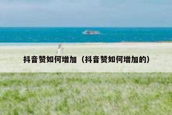 抖音赞如何增加（抖音赞如何增加的） 第1张