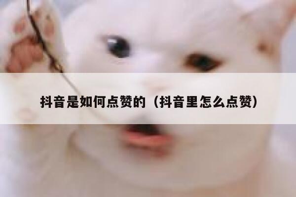 抖音是如何点赞的（抖音里怎么点赞） 第1张