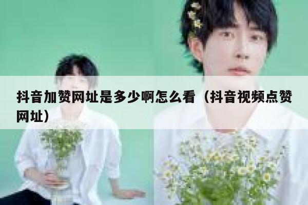 抖音加赞网址是多少啊怎么看（抖音视频点赞网址） 第1张