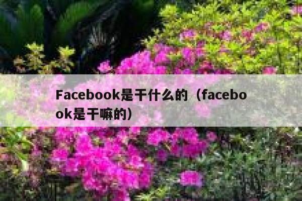 Facebook是干什么的(facebook是干嘛的) 第1张 Facebook是干什么的(facebook是干嘛的) 第1张