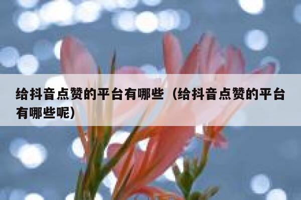给抖音点赞的平台有哪些（给抖音点赞的平台有哪些呢） 第1张